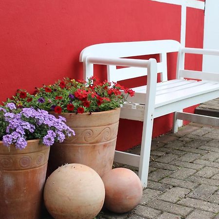 Ferienwohnung Zum Nordlicht Bassum エクステリア 写真